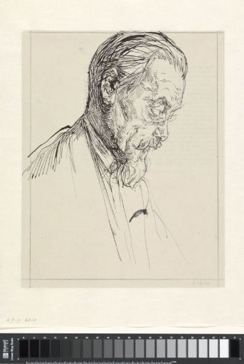 Portrait of Cornelis Hofstede de Groot