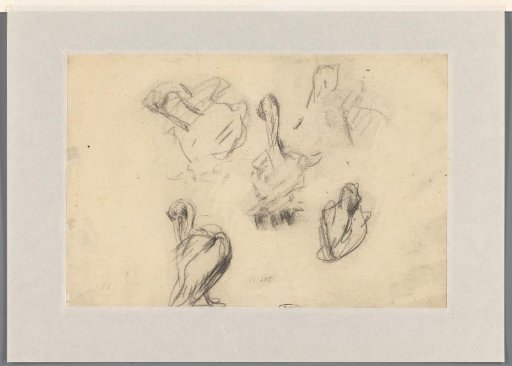 Sketches of a pelican
