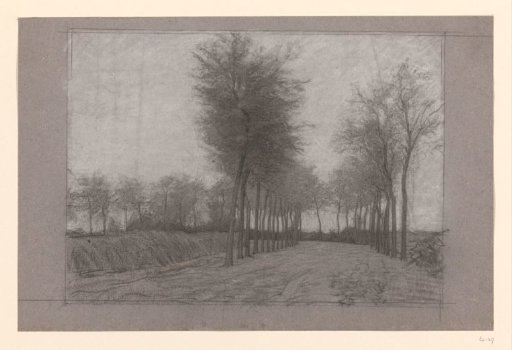 Country road with trees on both sides