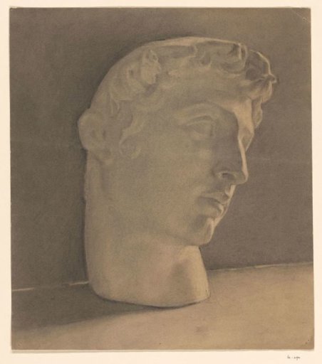 Study of a plaster head