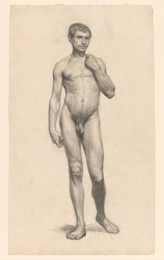 Standing male nude, seen from the front