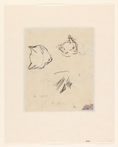 Sketches of a cat