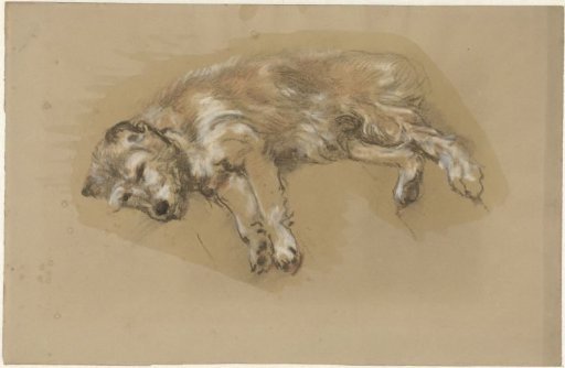 Recumbent dog