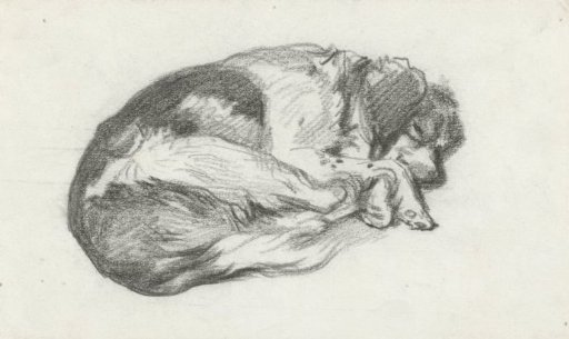 Sleeping puppy