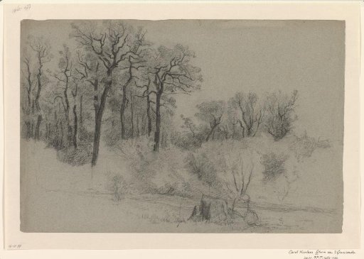 Landscape with trees and shrubs