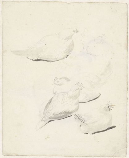 Study Sheet with Five Chickens