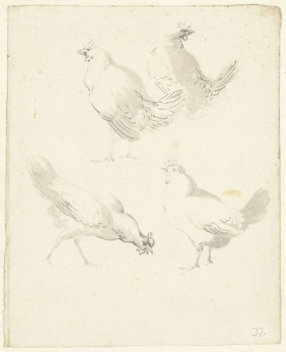 Study Sheet with Four Chickens