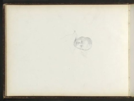 Head of a boy