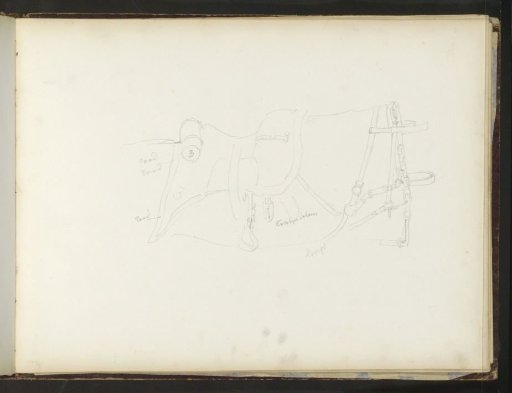 Saddle