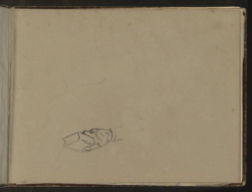 Hand with a book