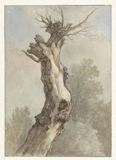 Study of a tree