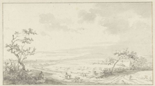 Extensive landscape with a country road