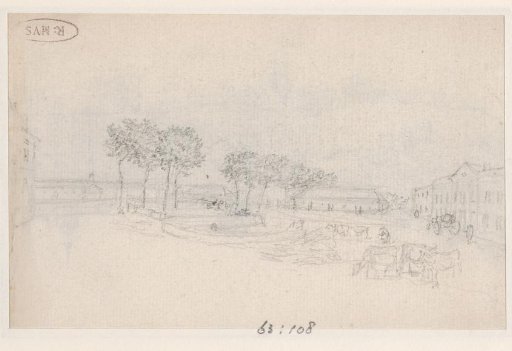 Large Buildings and Cows in the Foreground