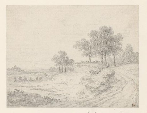 Landscape with sandy road and trees