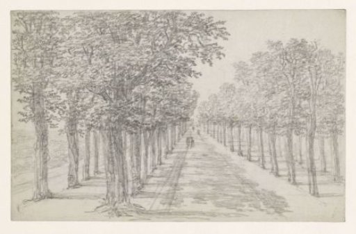 Road with Four Rows of Trees