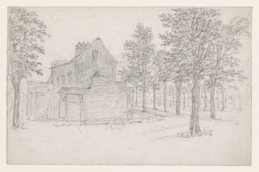 Road with trees, with houses on the left