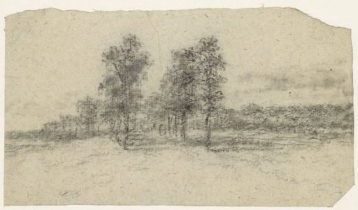 Road with trees