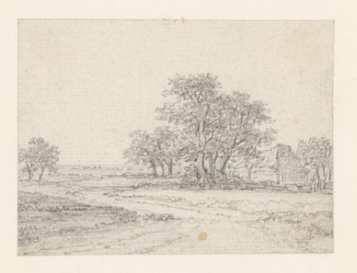 Farmhouse in the trees