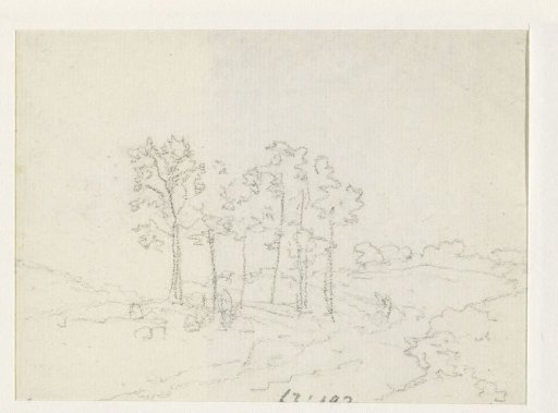 Sketch of a group of trees