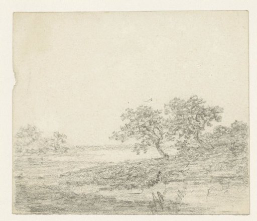 Two trees on a slope