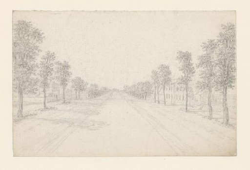Wide country road planted with young trees