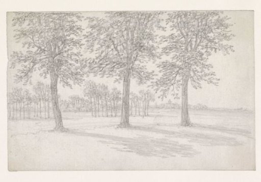 Trees in a meadow