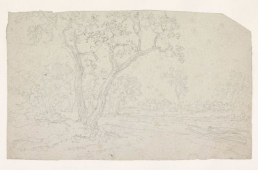 Trees in a flat landscape