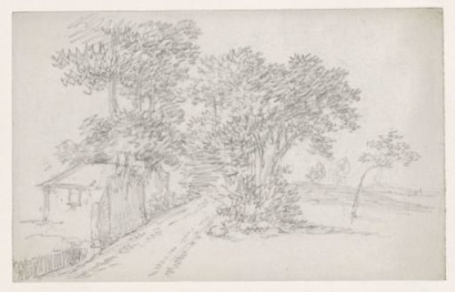 House by a road with trees