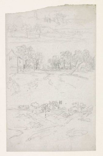 House by a road with trees