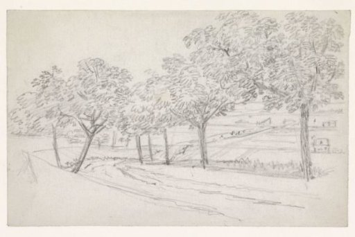 Road between wooded slopes