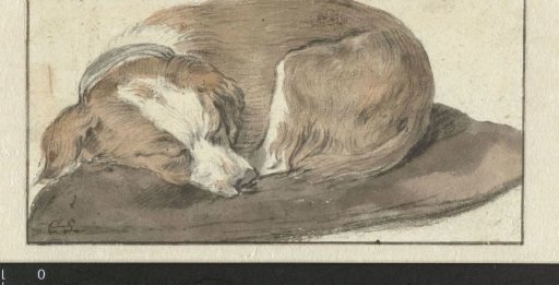 Dog Asleep on a Cushion