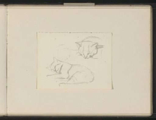 Sleeping cats