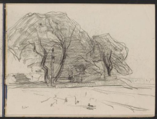 Landscape with trees at Exloo