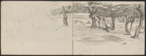 Trees on the road to Odoorn