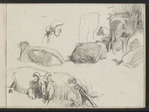 Study sheet with sheep at Exloo