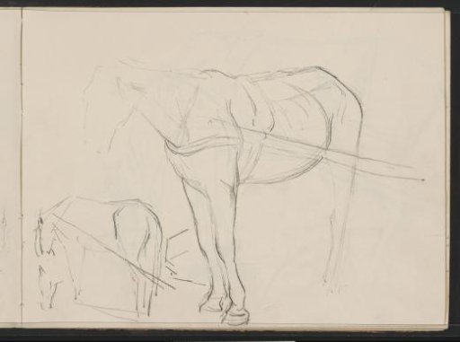 Draft horse