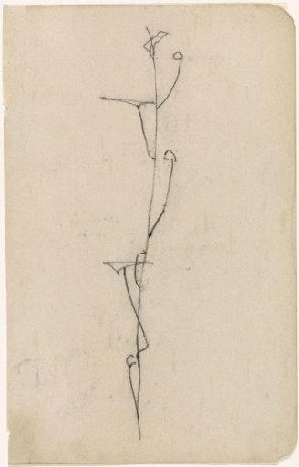 Sketch of a twig with fine leaves