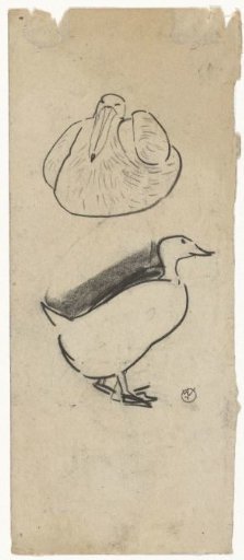 Duck and a sitting bird