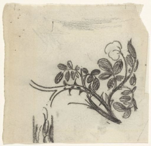 Sketch of a small rose branch