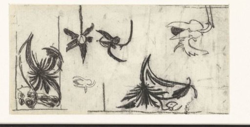 Sketches of flowers
