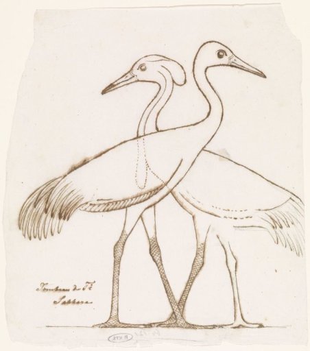 Egyptian relief sculpture: two cranes