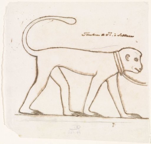 Egyptian relief sculpture: a monkey