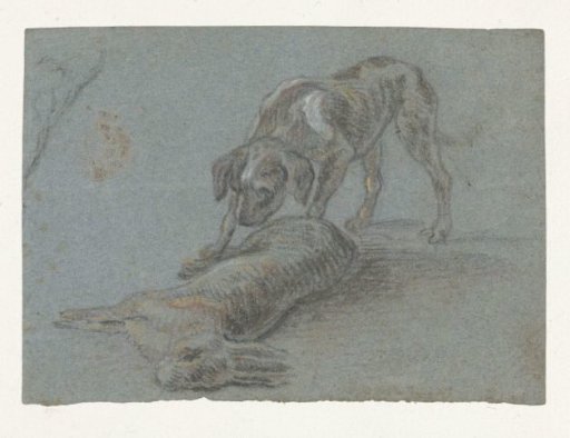 Dog beside a shot hare