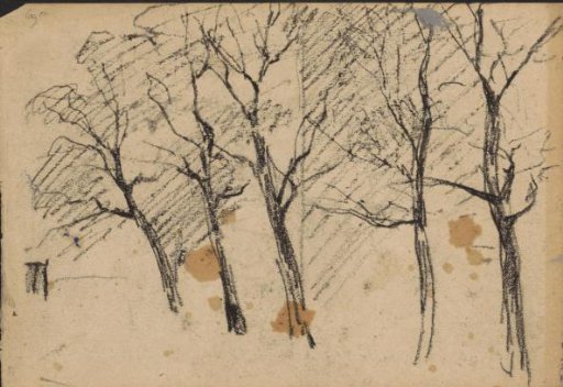 Row of trees