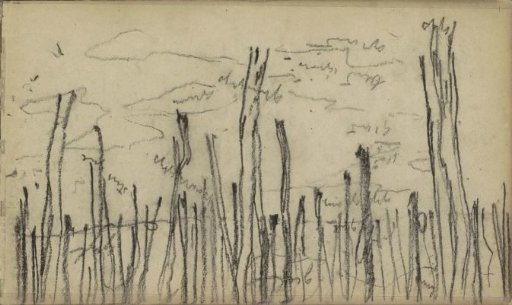 Wooded landscape
