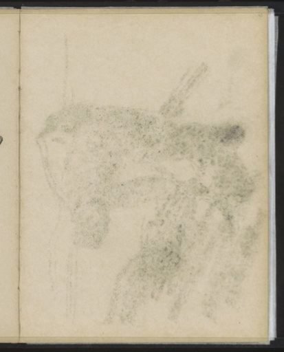 Tracing of the chalk drawing on page 62