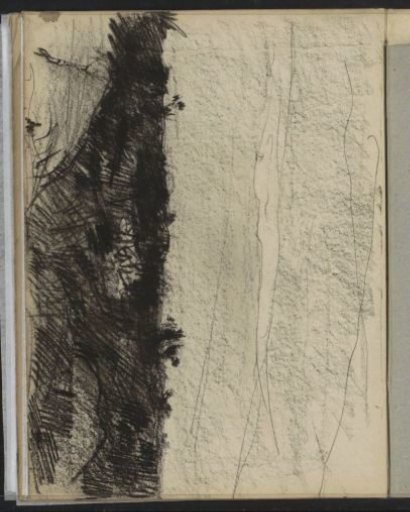 Landscape with Vegetation, Possibly Heath
