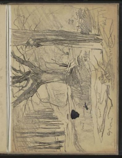 Woods near Ede
