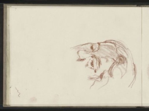 Female head