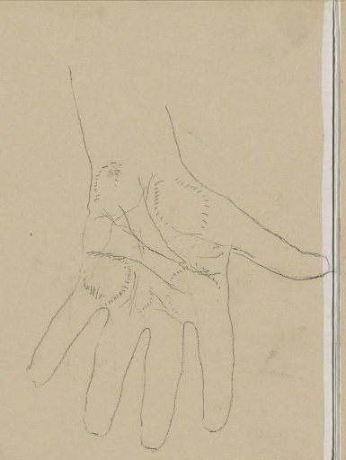 Hand with spread fingers